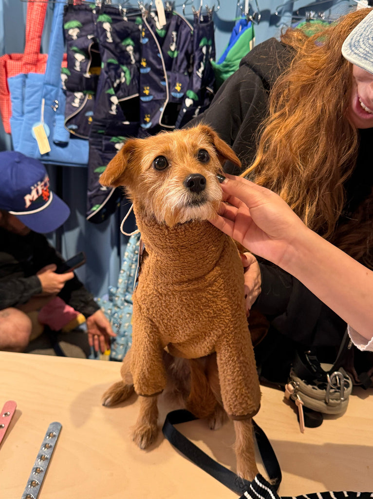 Little Beast Dog Fleece Onesie Magic Brownie Onesie