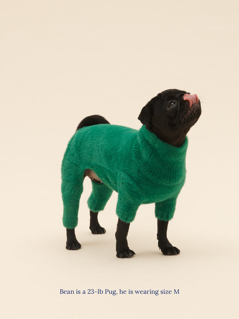Little Beast Dog Sweater Mary Jane Knit Onesie