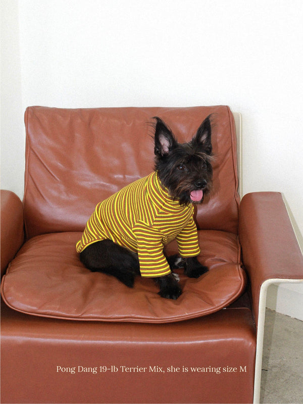 Little Beast Dog Onesie Met on Bumble Shirt