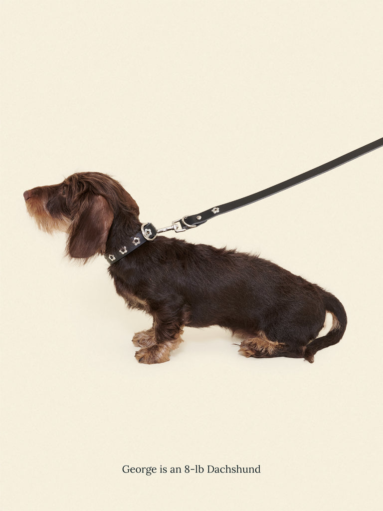 Little Beast Dog Leash ONE SIZE Midnight - Flower Power Leash