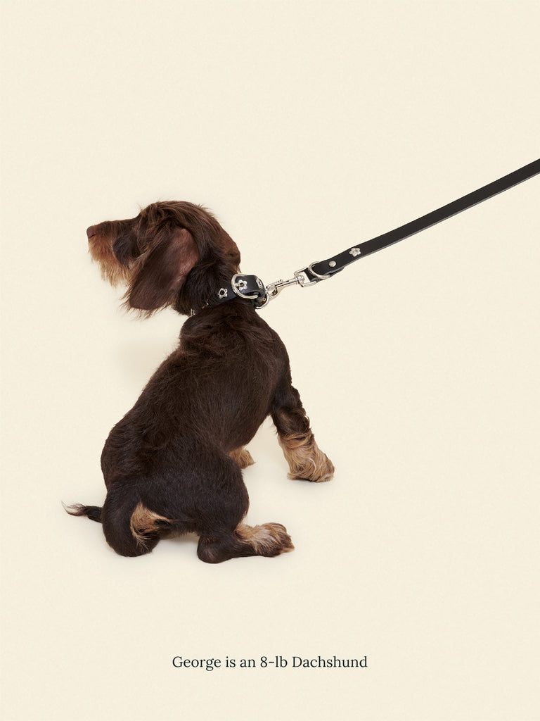Little Beast Dog Leash Black / OS Midnight - Flower Power Leash