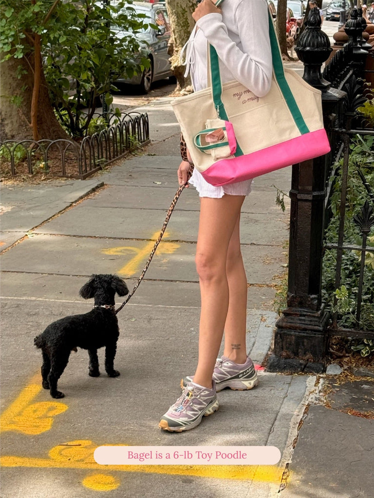 Little Beast Dog Carrier Pink / OS MILF Canvas Tote - Ian Charms x Little Beast