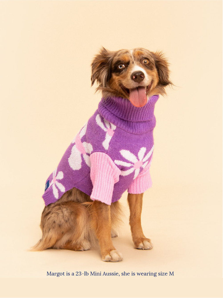 Little Beast Dog Sweater Mom's Favorite Sweater