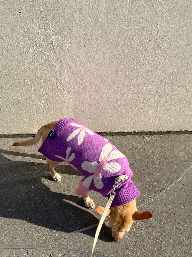 Little Beast Dog Sweater Mom's Favorite Sweater
