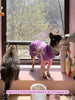 Little Beast Dog Sweater Purple White / XXS Mom's Favorite Sweater