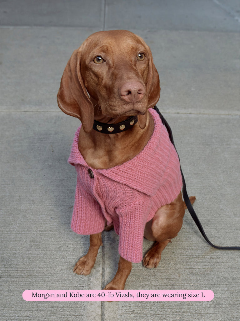 Little Beast Dog Sweater Mulled Cardigan in Carnation - SANDY LIANG X LITTLE BEAST