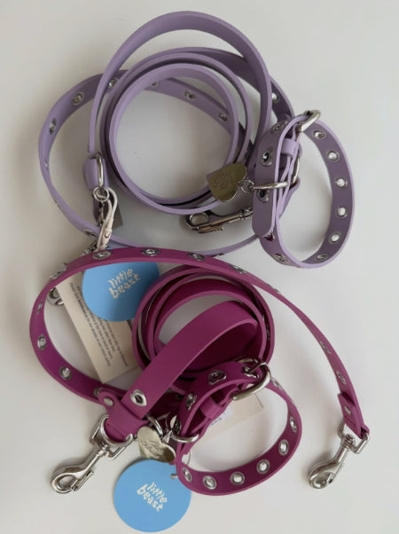 Mystery Leash