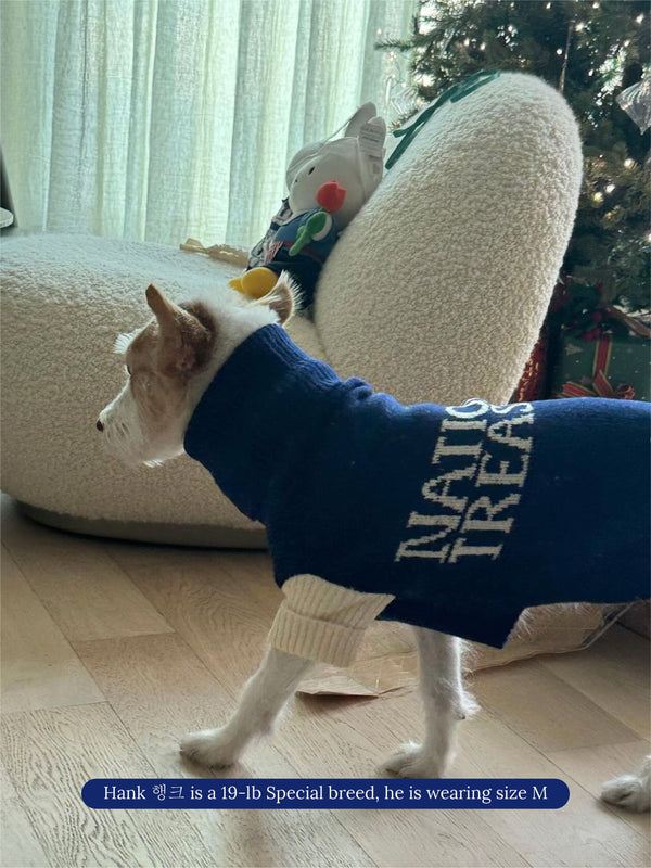 Little Beast Dog Sweater National Treasure Sweater