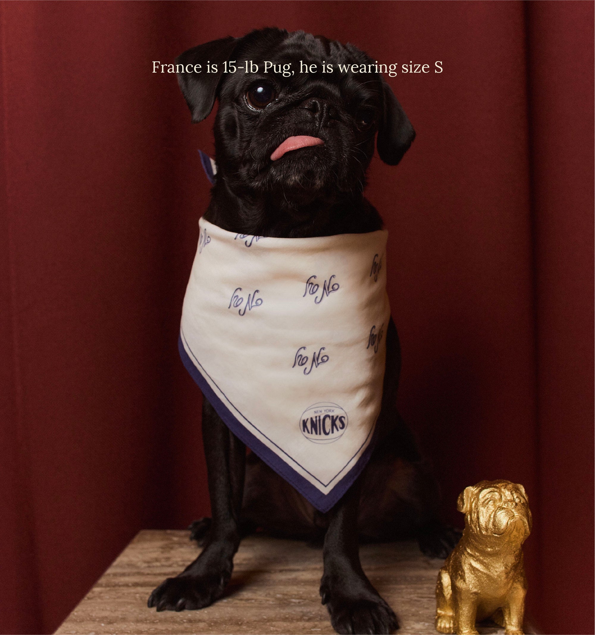 Little Beast Dog Bandana New York Knicks Bandana - NBA