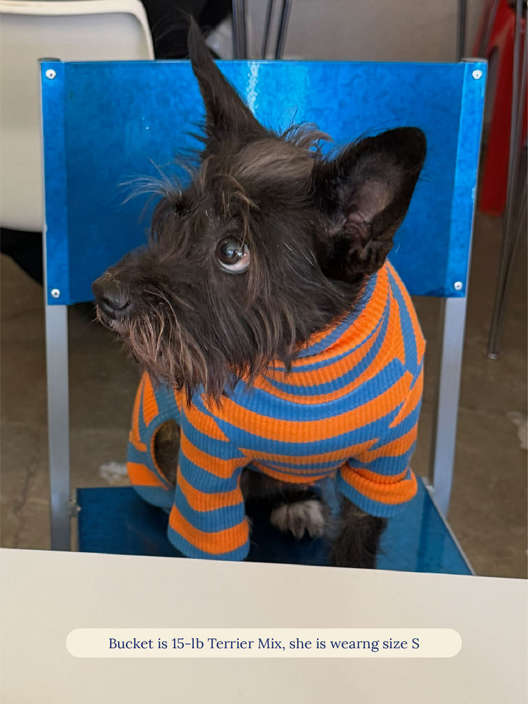 Little Beast Dog Stripe Onesie OG Onesie