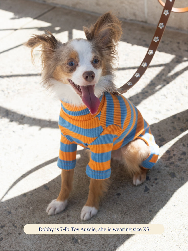 Little Beast Dog Stripe Onesie OG Onesie