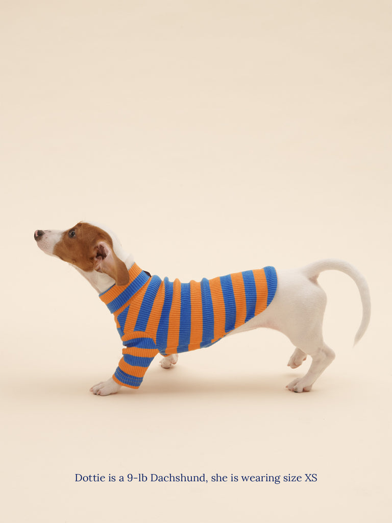 Little Beast Dog Stripe Shirt OG Shirt