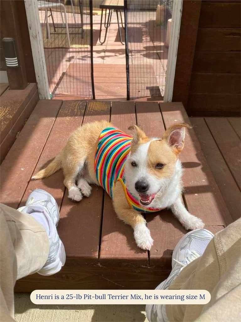 Little Beast Dog Sleeveless Shirt Party Diva Sleeveless Shirt