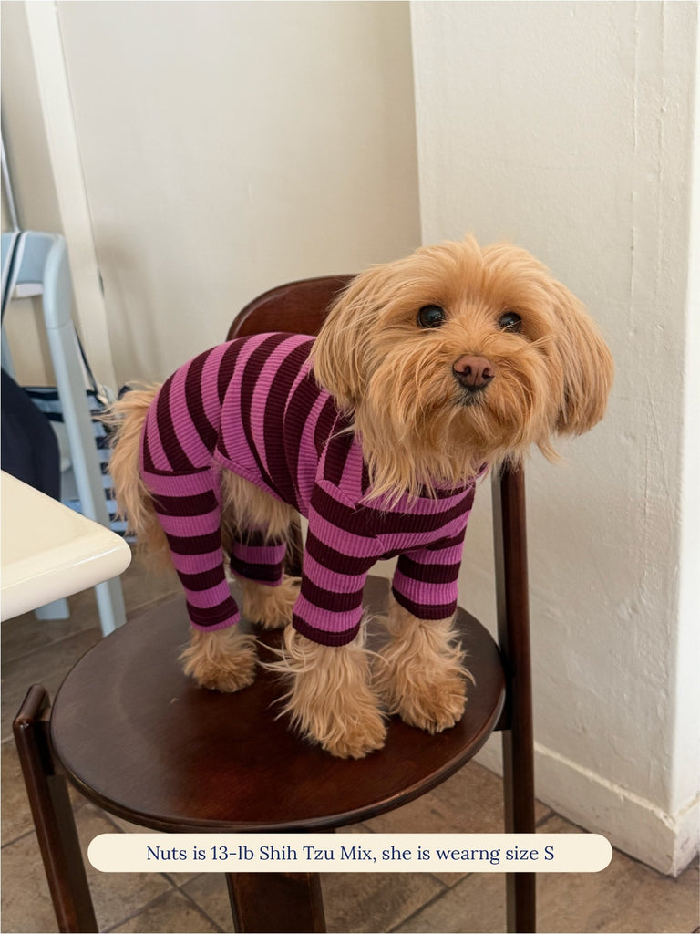 Little Beast Dog Stripe Onesie PBJ Onesie