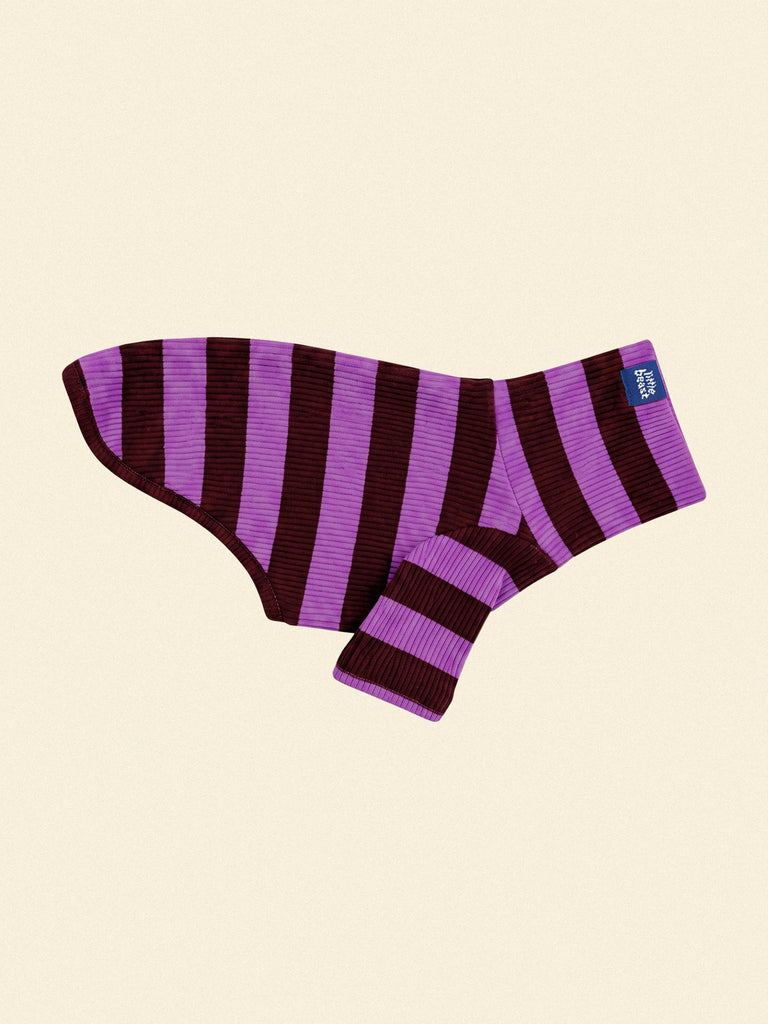 Little Beast Dog Stripe Shirt PURPLE BROWN / XXS PBJ Shirt