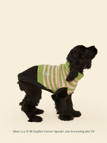 Little Beast Dog Sweater Peace Sweater