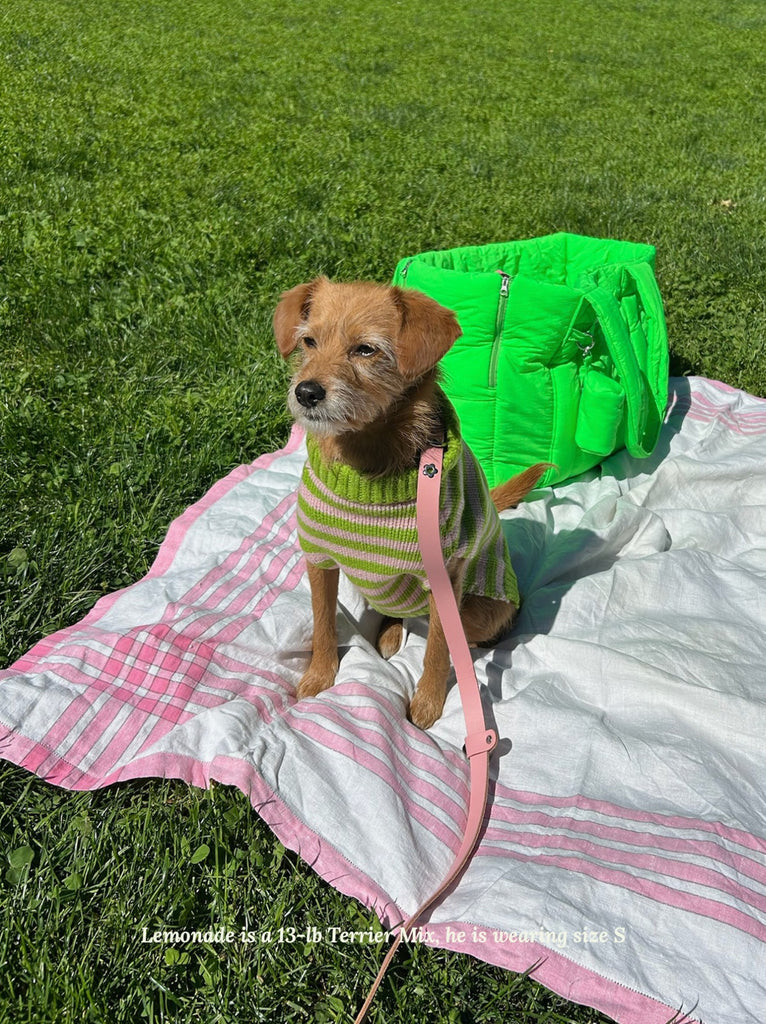 Little Beast Dog Sweater Peace Sweater
