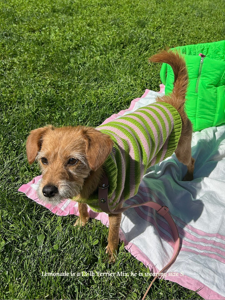 Little Beast Dog Sweater Peace Sweater