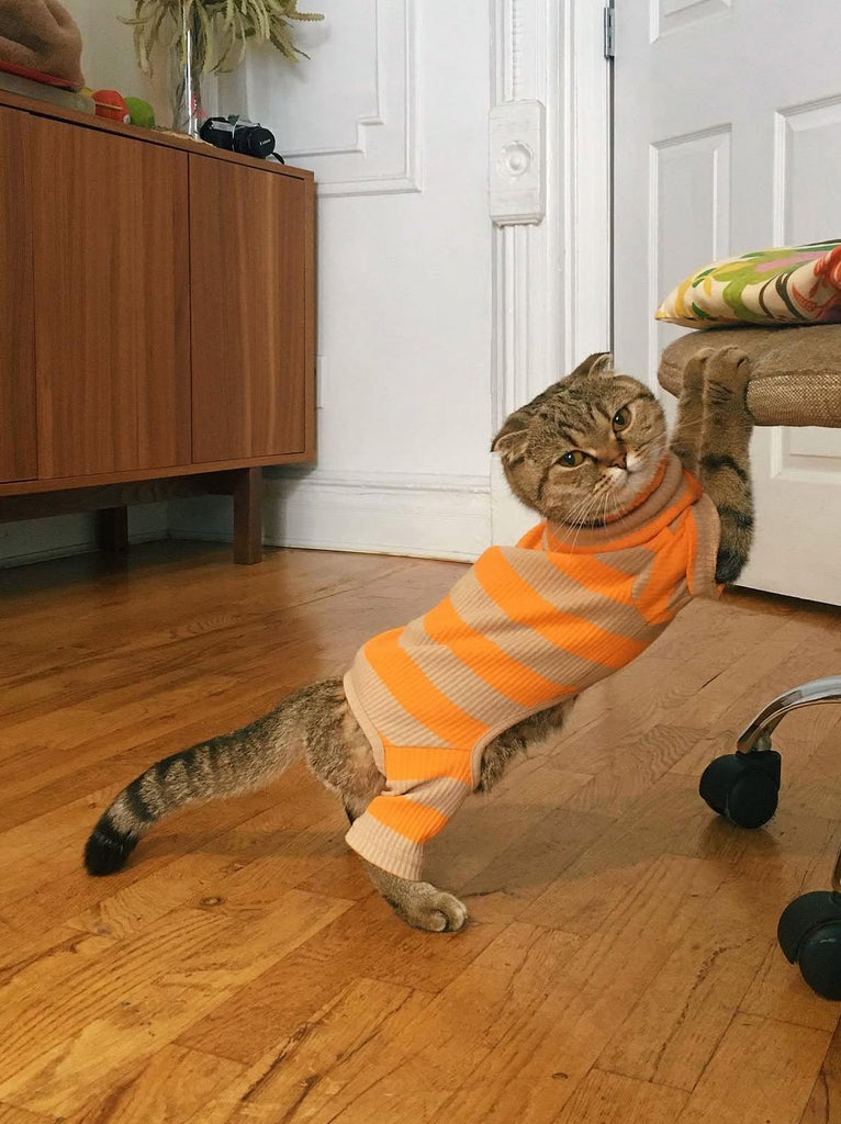 Little Beast Dog Stripe Onesie Peanut Butter Onesie