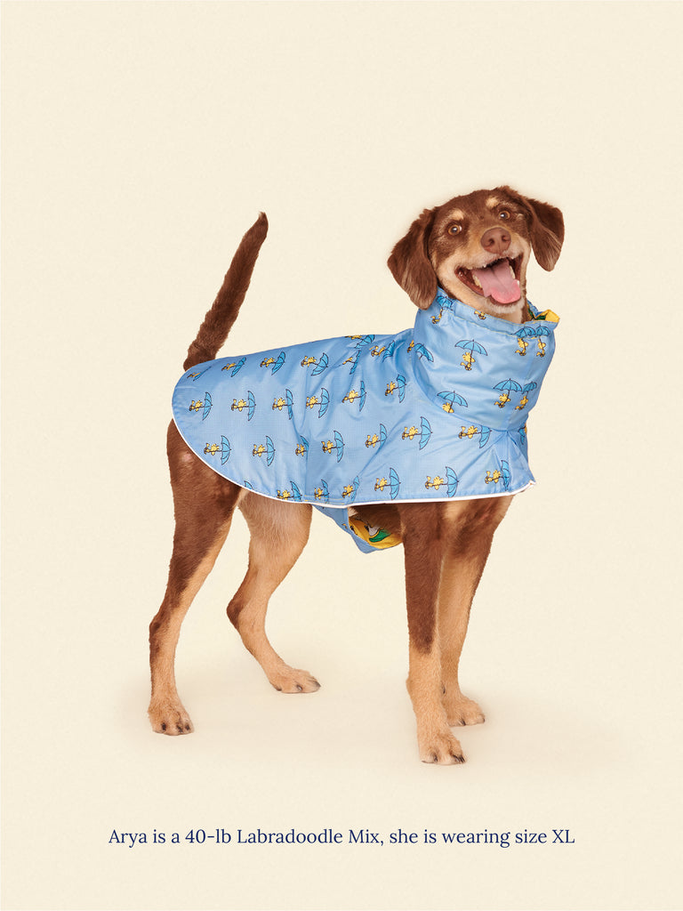 Little Beast Dog Raincoat Peanut Raincoat - Yellow
