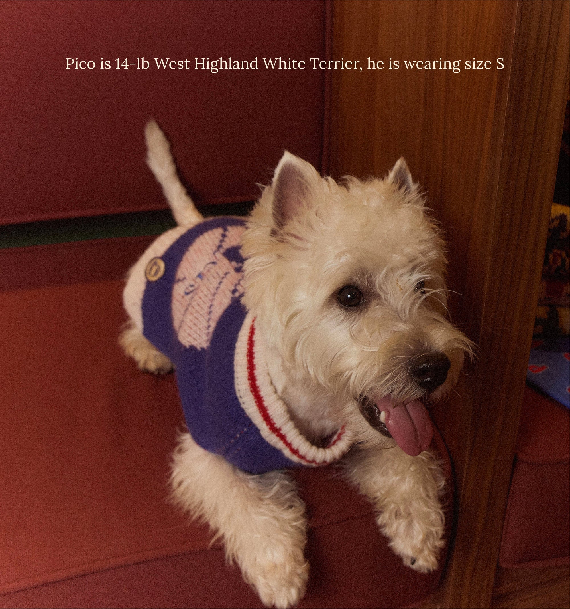 Little Beast Dog Sweater Philadelphia Sixers Dog Sweater - NBA