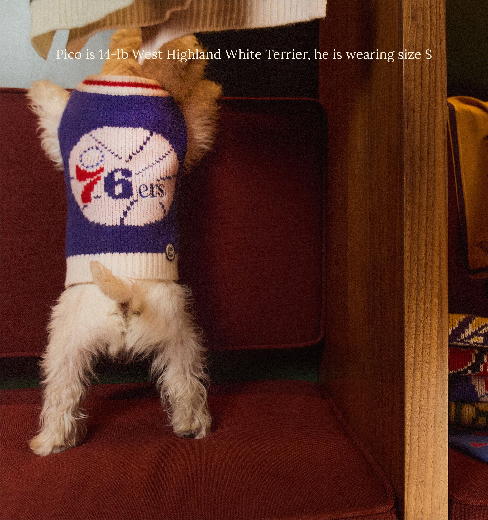 Little Beast Dog Sweater Philadelphia Sixers Dog Sweater - NBA