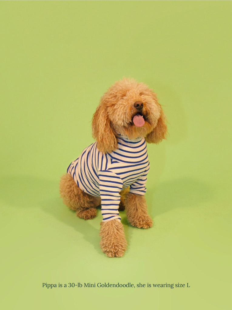 Little Beast Dog Stripe Shirt Picasso Sweatshirt