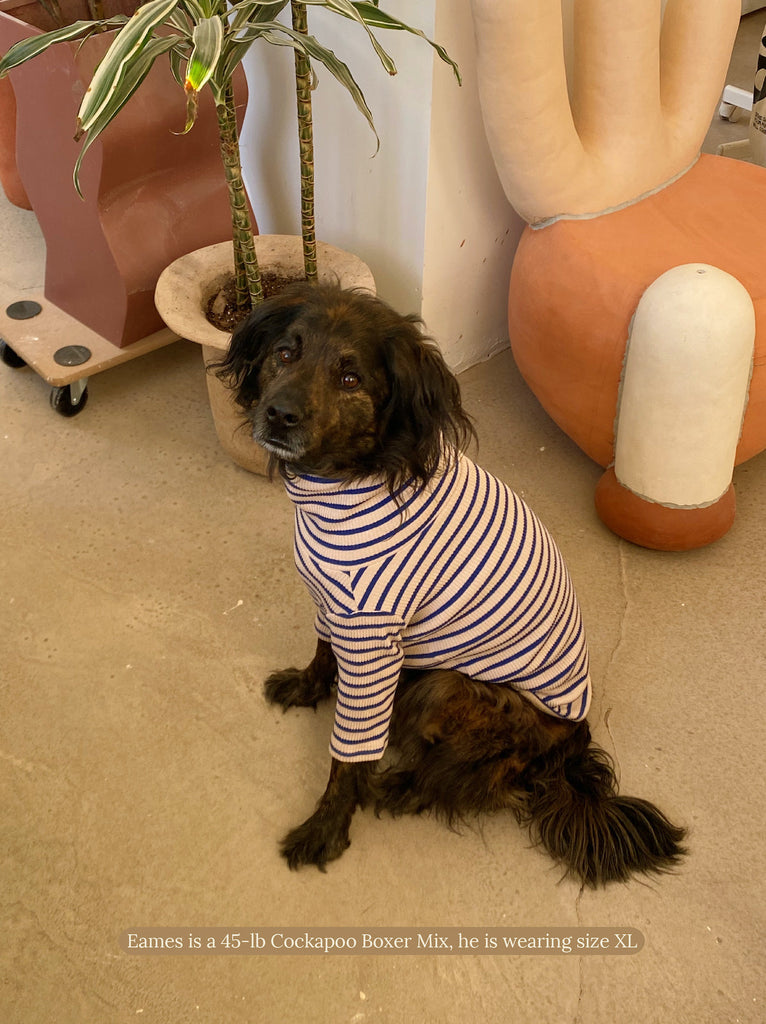 Little Beast Dog Stripe Shirt Picasso Sweatshirt