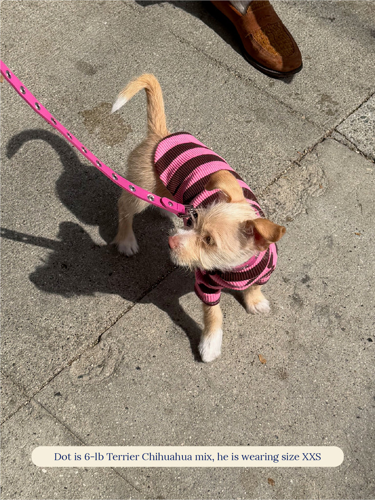 Little Beast Dog Stripe Shirt PK/BR SHIRT
