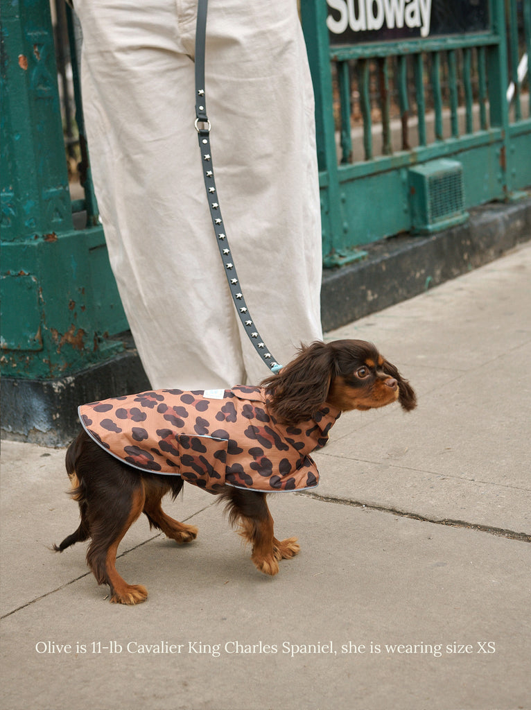 Little Beast RC ANML LPD