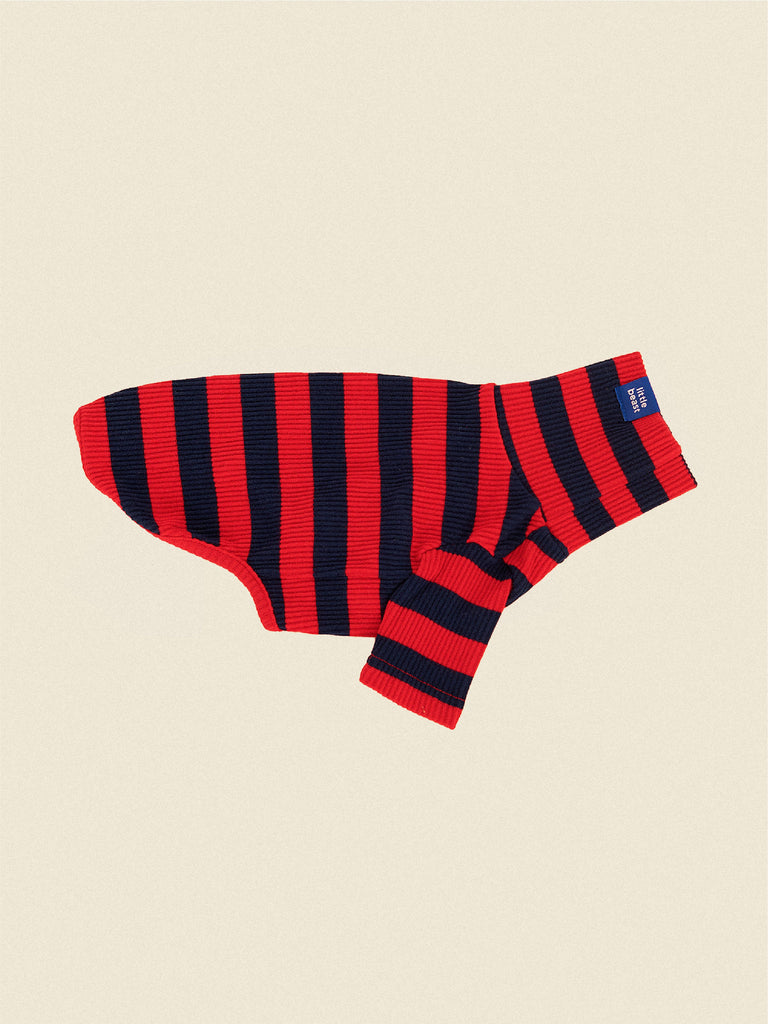 Ivy League Shirt
