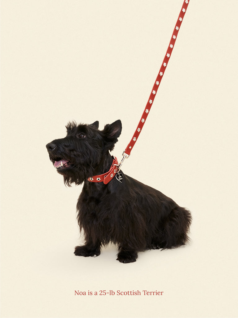 Little Beast Dog Leash ONESIZE Ruby - Flower Power Leash