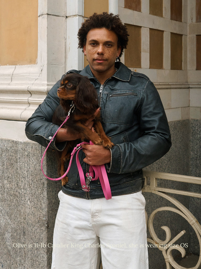 Little Beast Dog Leash Pink / OS Ruby - Flower Power Leash