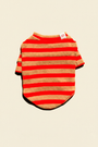 Rudolph Sweatshirt