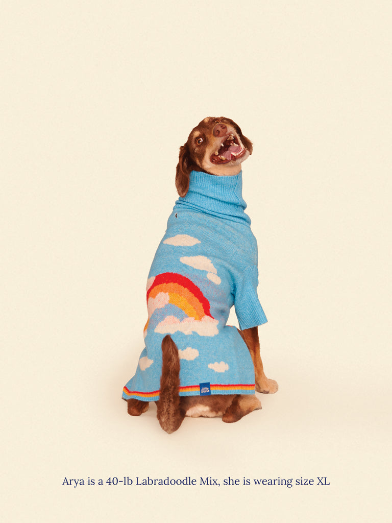 Little Beast Dog Sweater Silver Linings 2 Sweater