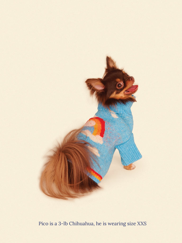 Little Beast Dog Sweater Silver Linings 2 Sweater