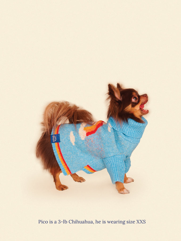 Little Beast Dog Sweater Silver Linings 2 Sweater