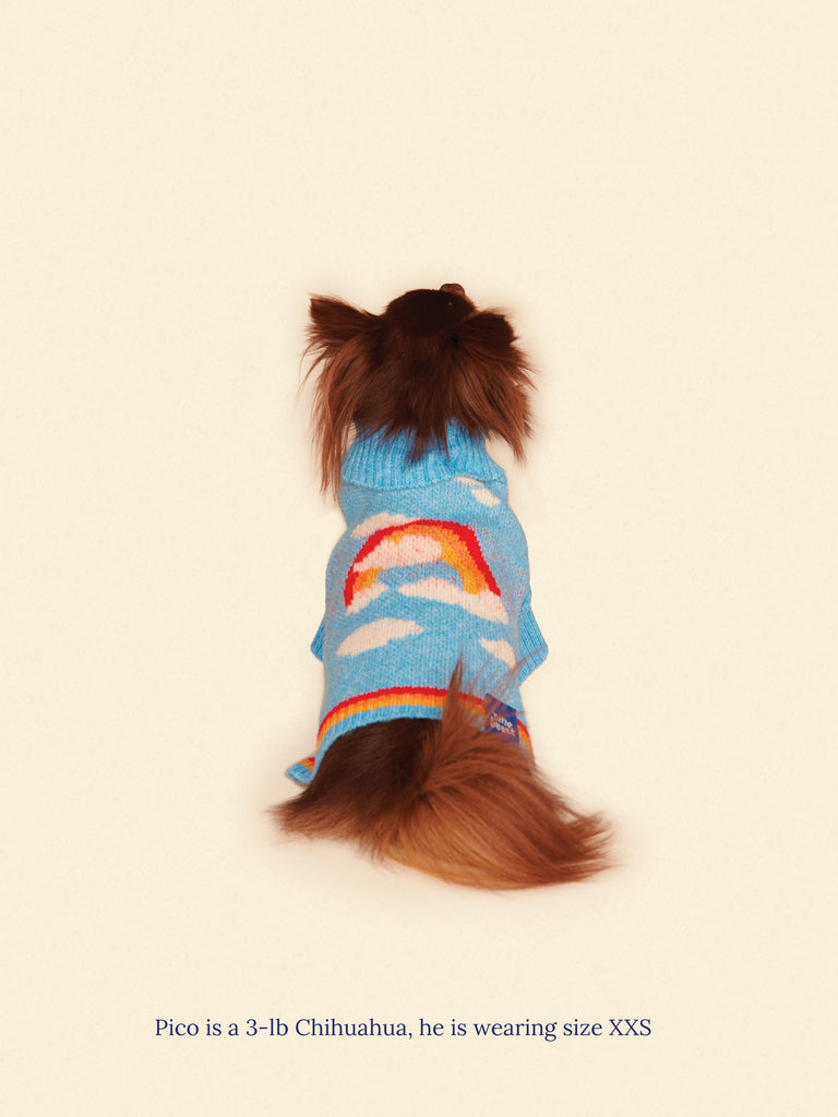 Little Beast Dog Sweater Silver Linings 2 Sweater