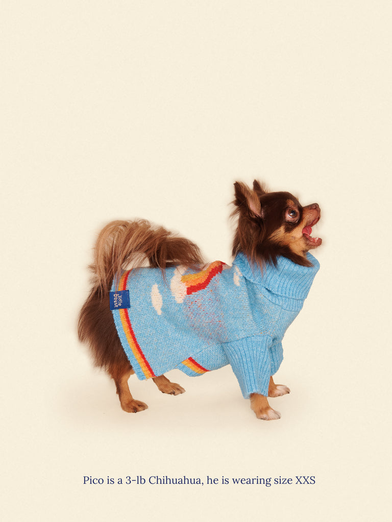 Little Beast Dog Sweater Silver Linings 2 Sweater