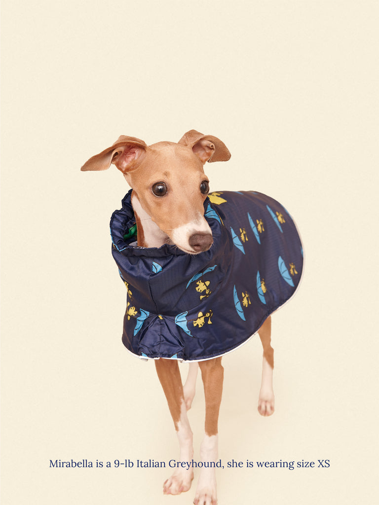 Little Beast Dog Raincoat Snoopy and Woodstock Raincoat - Navy