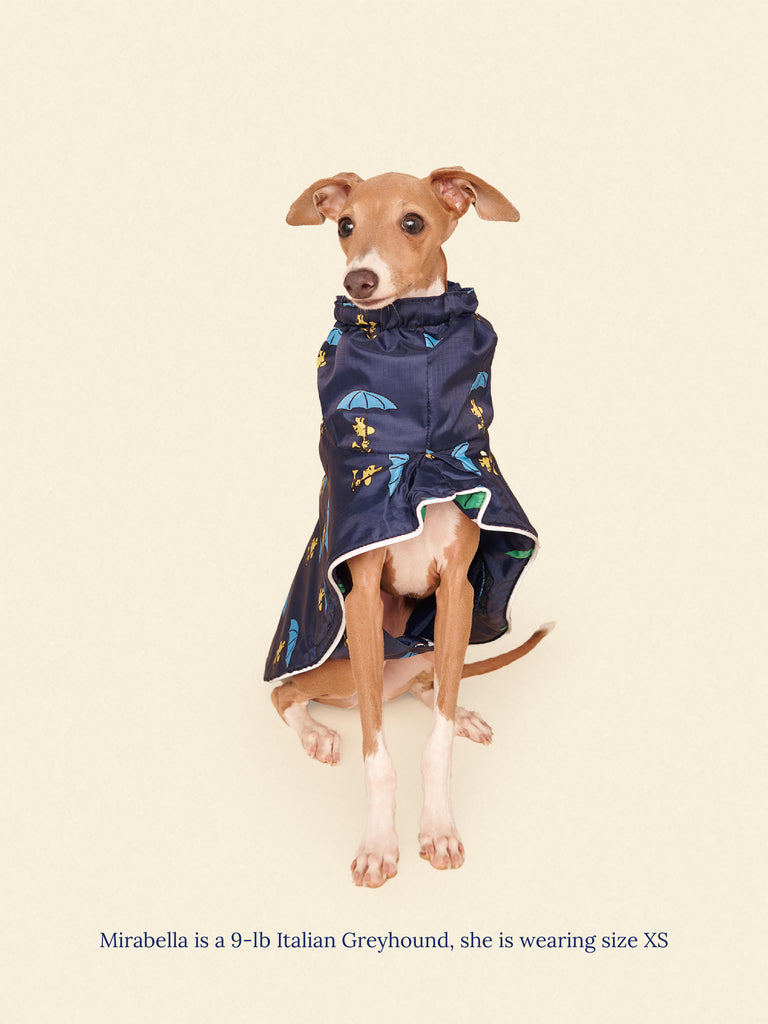 Little Beast Dog Raincoat Snoopy and Woodstock Raincoat - Navy