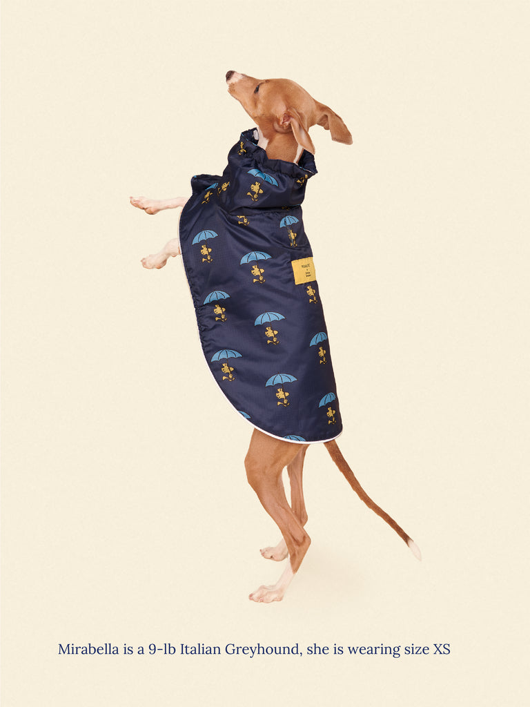 Little Beast Dog Raincoat Snoopy and Woodstock Raincoat - Navy