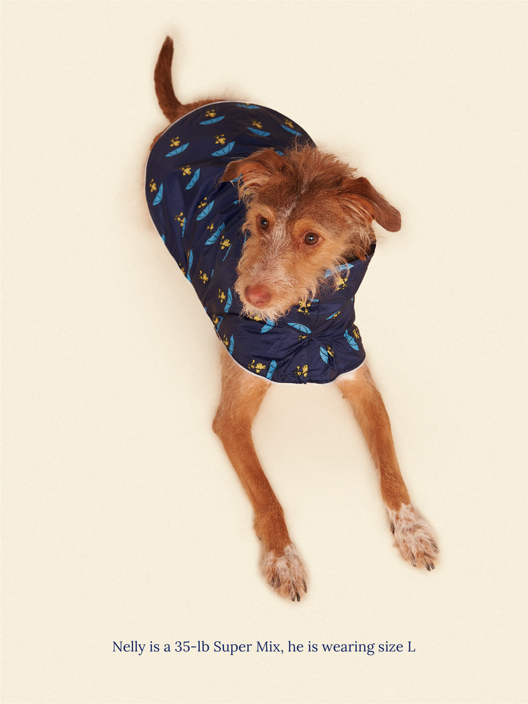 Little Beast Dog Raincoat Snoopy and Woodstock Raincoat - Navy