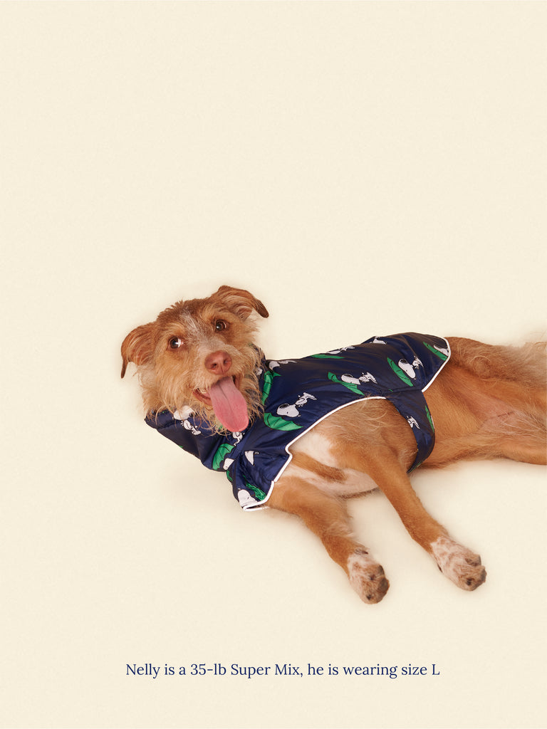 Little Beast Dog Raincoat Snoopy and Woodstock Raincoat - Navy