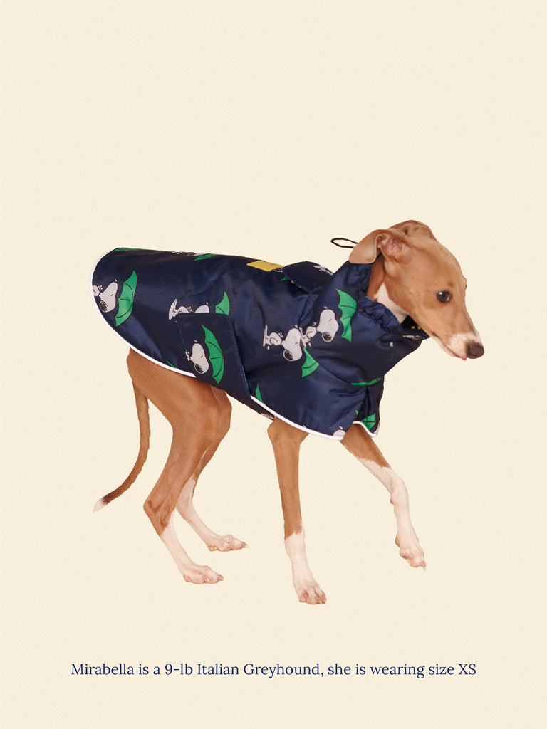 Little Beast Dog Raincoat Snoopy and Woodstock Raincoat - Navy
