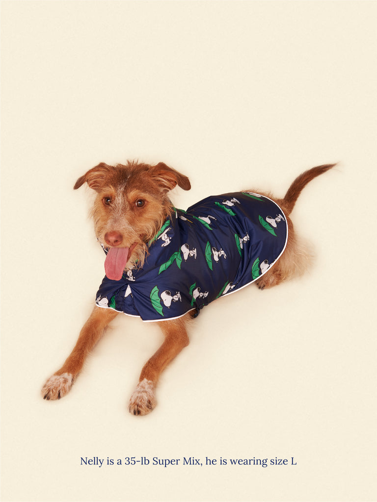 Little Beast Dog Raincoat Snoopy and Woodstock Raincoat - Navy