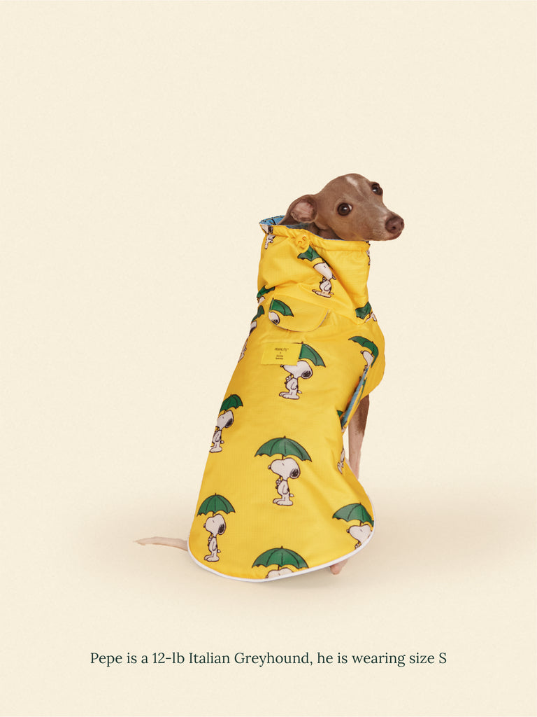 Little Beast Dog Raincoat Snoopy and Woodstock Raincoat - Yellow / Blue
