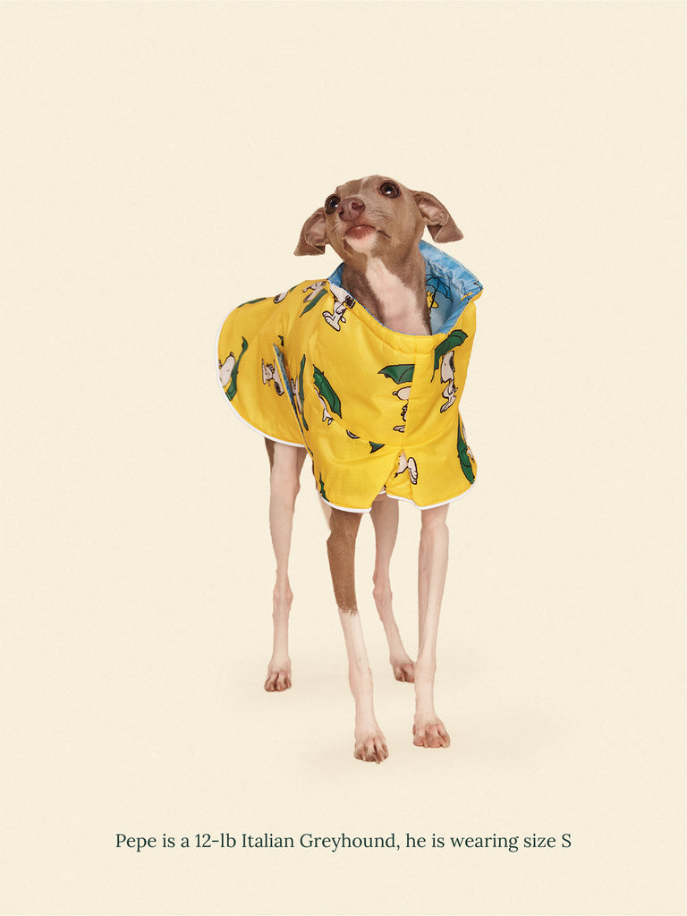 Little Beast Dog Raincoat Snoopy and Woodstock Raincoat - Yellow / Blue