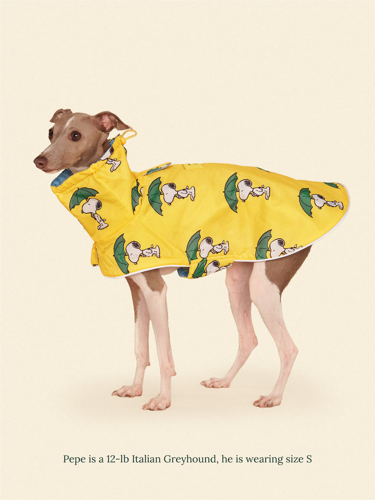 Little Beast Dog Raincoat Snoopy and Woodstock Raincoat - Yellow / Blue