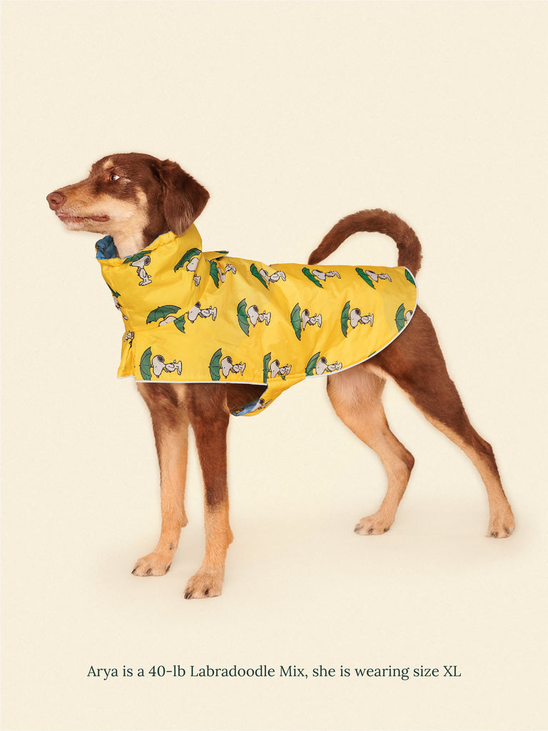 Little Beast Dog Raincoat Snoopy and Woodstock Raincoat - Yellow / Blue
